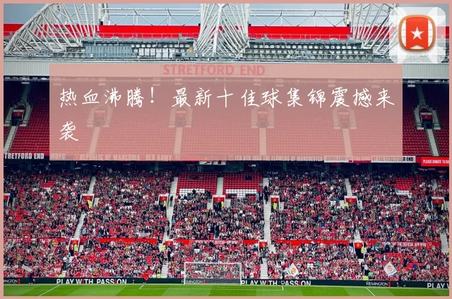 热血沸腾！最新十佳球集锦震撼来袭